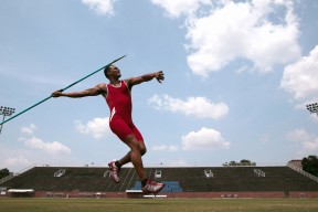 新手入门指南：mksports官网（干货）